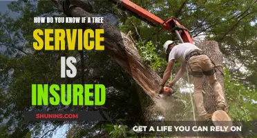 Tree Service Insurance: What to Look For