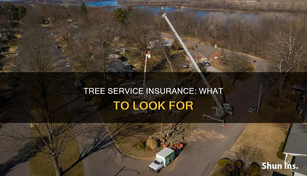 how do you know if a tree service is insured