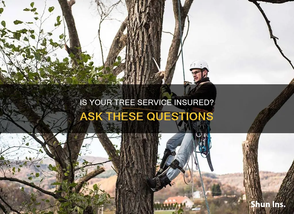 how do you know if a tree service is insured