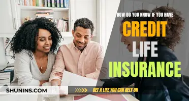 Understanding Credit Life Insurance: Do You Have It?