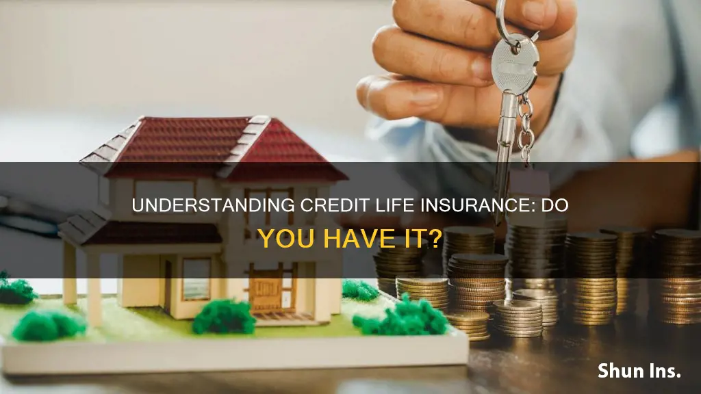 how do you know if you have credit life insurance