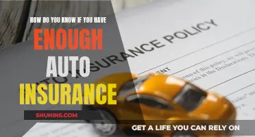 Understanding Auto Insurance Coverage: Navigating the Right Amount for Peace of Mind