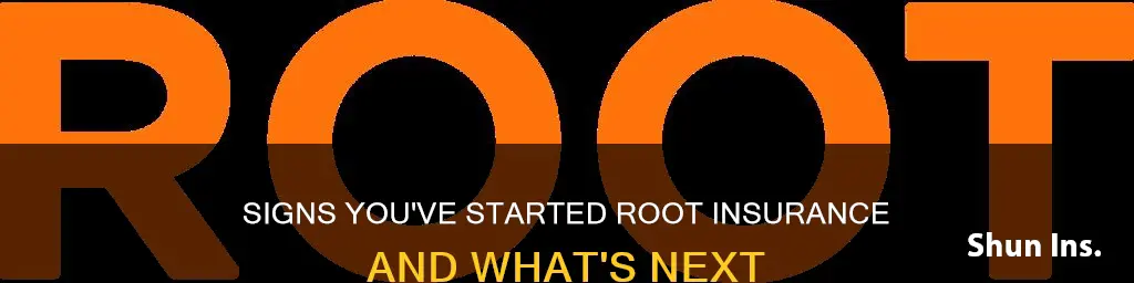 how do you know when you started root insurance