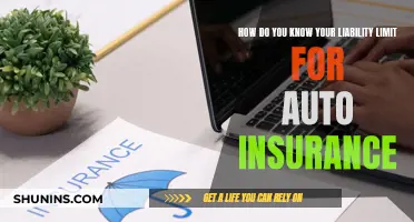 Understanding Auto Insurance Liability: The Art of Knowing Your Limit