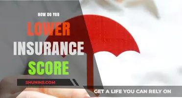 Effective Strategies to Lower Your Insurance Score and Save Money