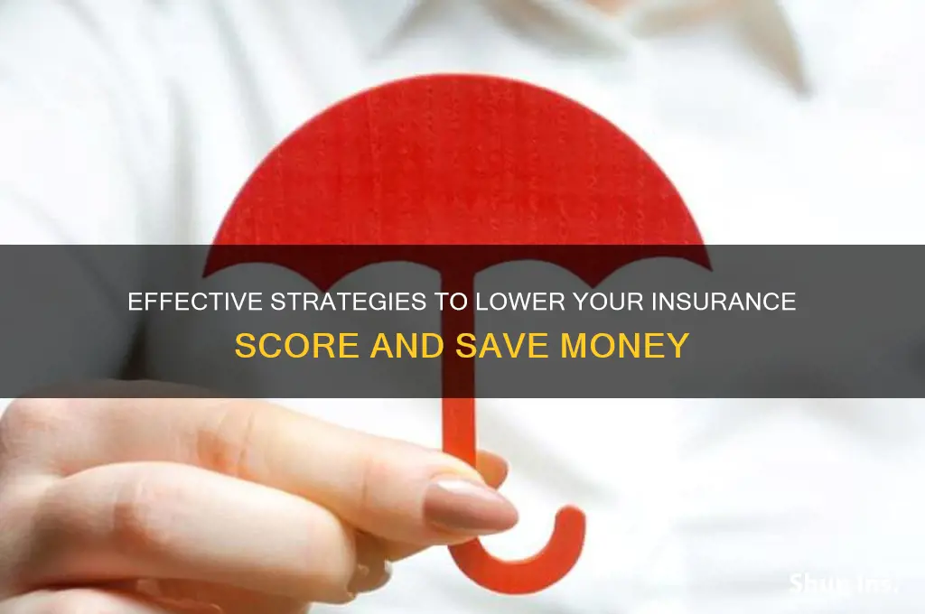 how do you lower insurance score