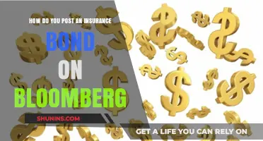 Posting an Insurance Bond on Bloomberg: A Step-by-Step Guide
