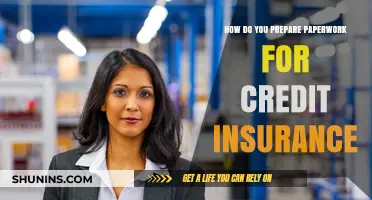 Mastering Credit Insurance Paperwork: Essential Preparation Tips and Strategies