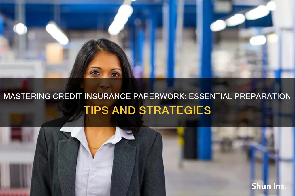 how do you prepare paperwork for credit insurance