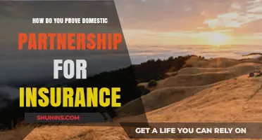 Proving Domestic Partnership for Insurance: Essential Steps and Documentation