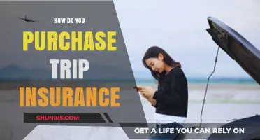 Essential Guide to Buying Trip Insurance: Protect Your Travel Investment