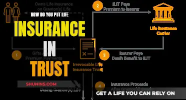 Putting Life Insurance in Trust: A Guide