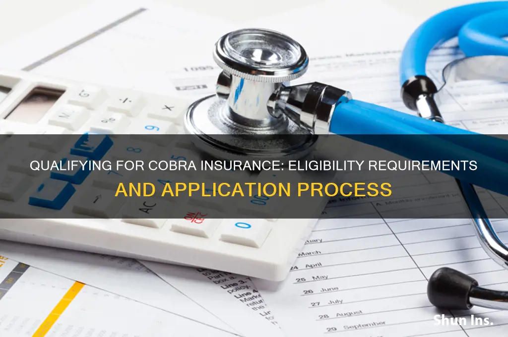 how do you qualify for cobra insurance