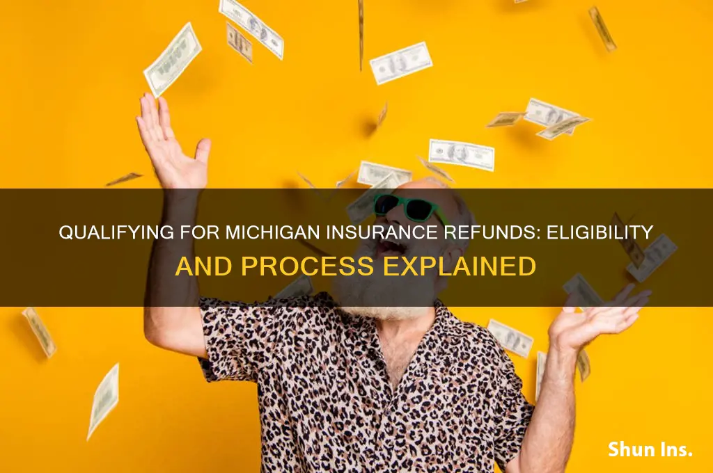 how do you qualify for the insurance refund in michigan