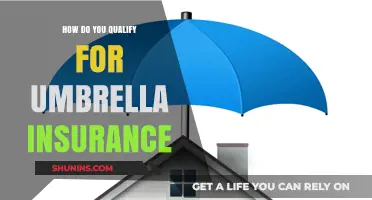 Qualifying for Umbrella Insurance: Essential Requirements and Eligibility Criteria