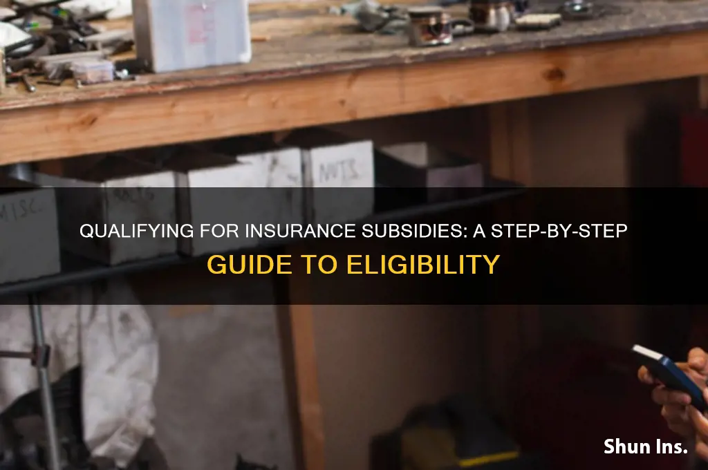 how do you qualify ofr a subsidy for insurance