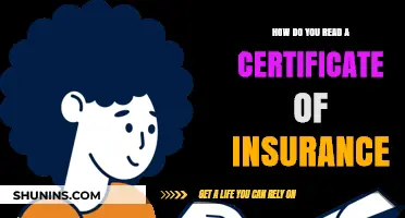 Understanding Your Certificate of Insurance: A Step-by-Step Guide to Reading It