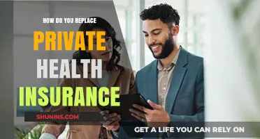 Replacing Private Health Insurance: Exploring Affordable and Sustainable Alternatives