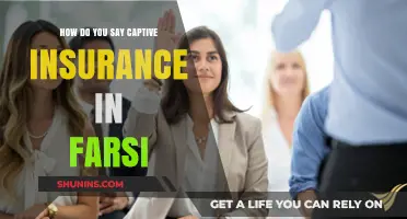 Captive Insurance in Farsi: Translation and Usage Guide