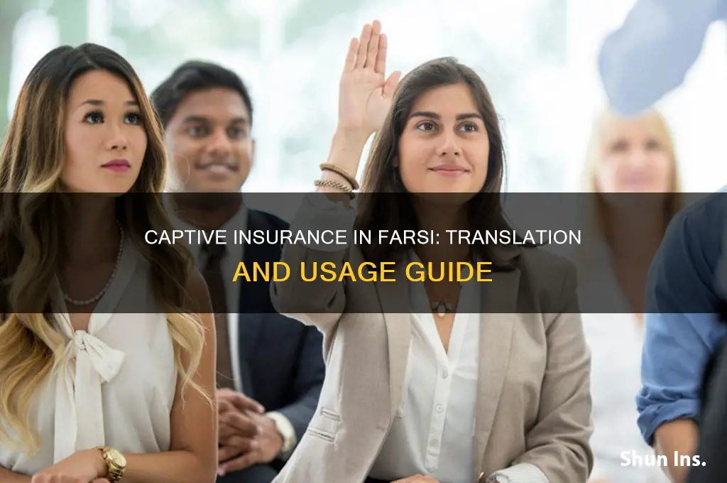 how do you say captive insurance in farsi