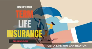 Term Life Insurance: Strategies for Effective Sales and Marketing