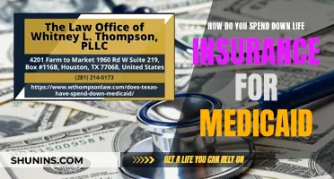 Spend Down Life Insurance: Planning for Medicaid Eligibility