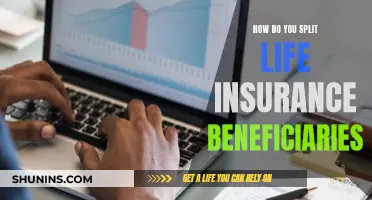 Beneficiaries and Life Insurance: Dividing Policies and Payouts Fairly