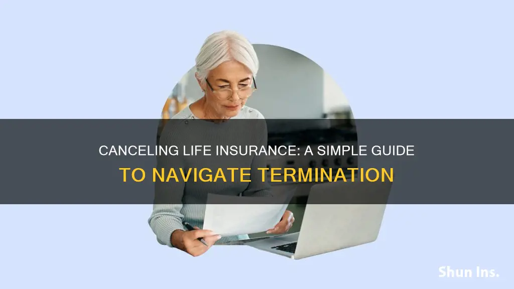 how do you stop your life insurance