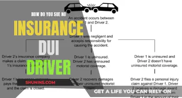 Suing a DUI Driver Without Insurance: Legal Steps and Options