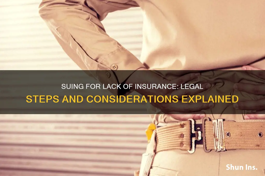 how do you sue someone for lack of insurance