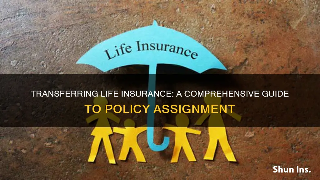 how do you transfer life insurance