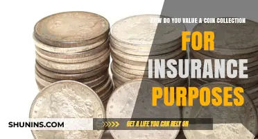Valuing Your Coin Collection: A Guide for Insurance Appraisal