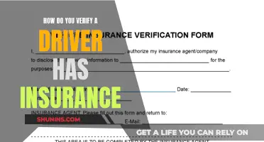 Verifying Driver's Insurance: A Step-by-Step Guide