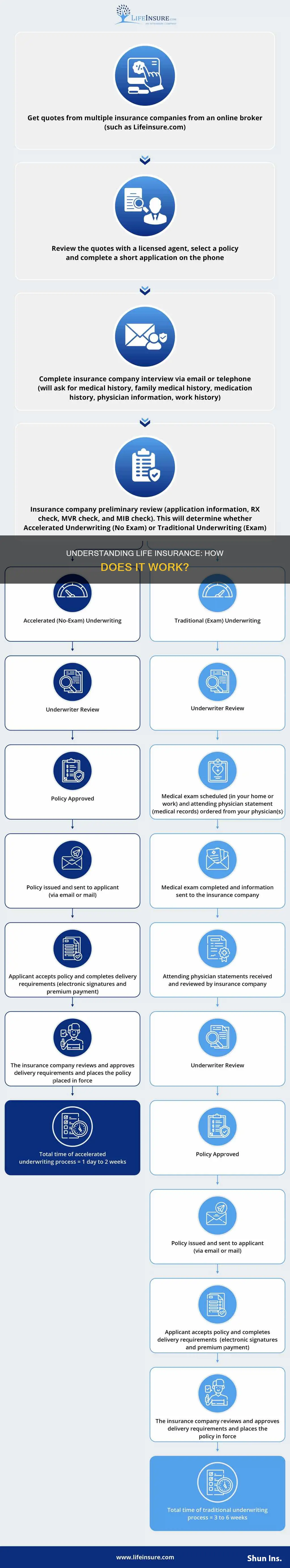 how doea life insurance qork