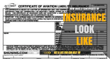 Understanding the Appearance and Key Elements of a Certificate of Insurance