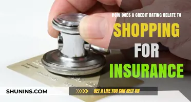 Credit Ratings and Insurance Shopping: Understanding the Connection