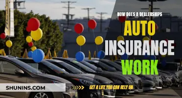 Dealership Auto Insurance: Understanding the Coverage and Costs