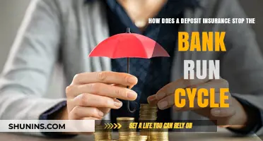 Deposit Insurance: Stopping Bank Runs
