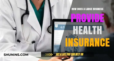 How Large Businesses Structure and Offer Health Insurance Benefits