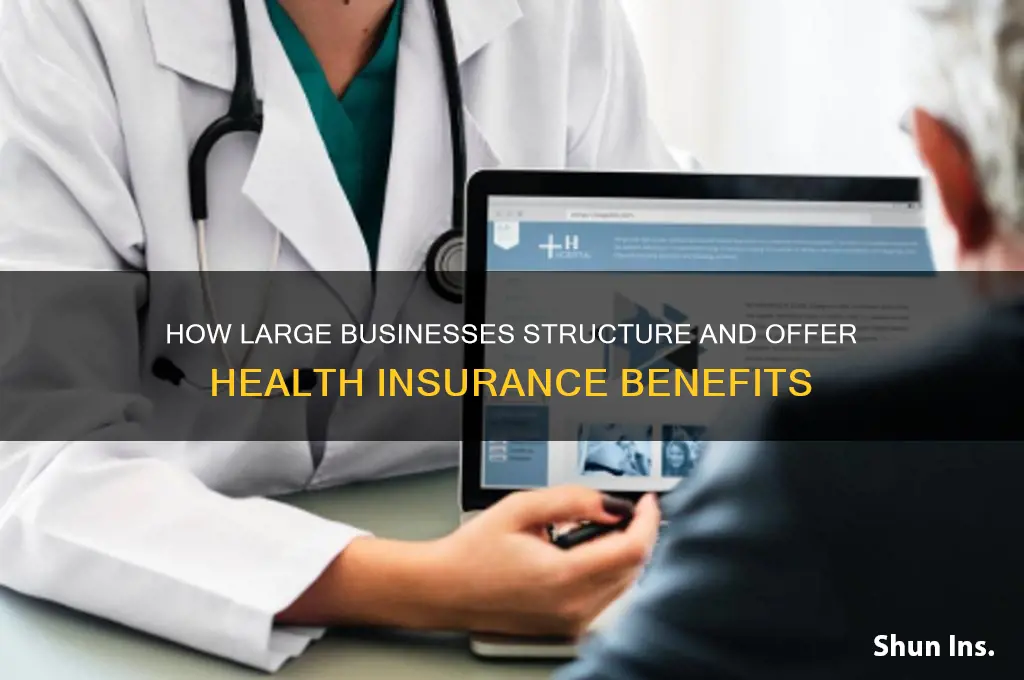 how does a large business provide health insurance