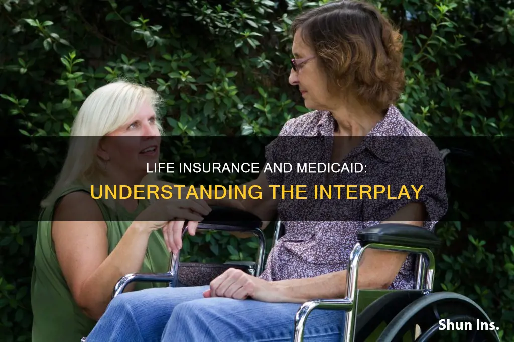 how does a life insurance work with medicaid application