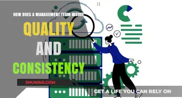 Ensuring Quality and Consistency: Strategies for Effective Management Teams