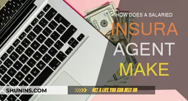 Lucrative Insurance Agent Careers: Salary Expectations