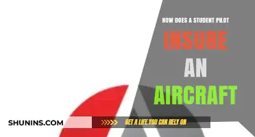 Student Pilot's Guide to Insuring Your Aircraft: Essential Tips and Steps