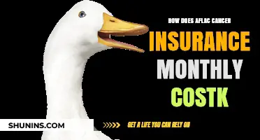 Aflac Cancer Insurance Monthly Cost: What to Expect and How to Budget