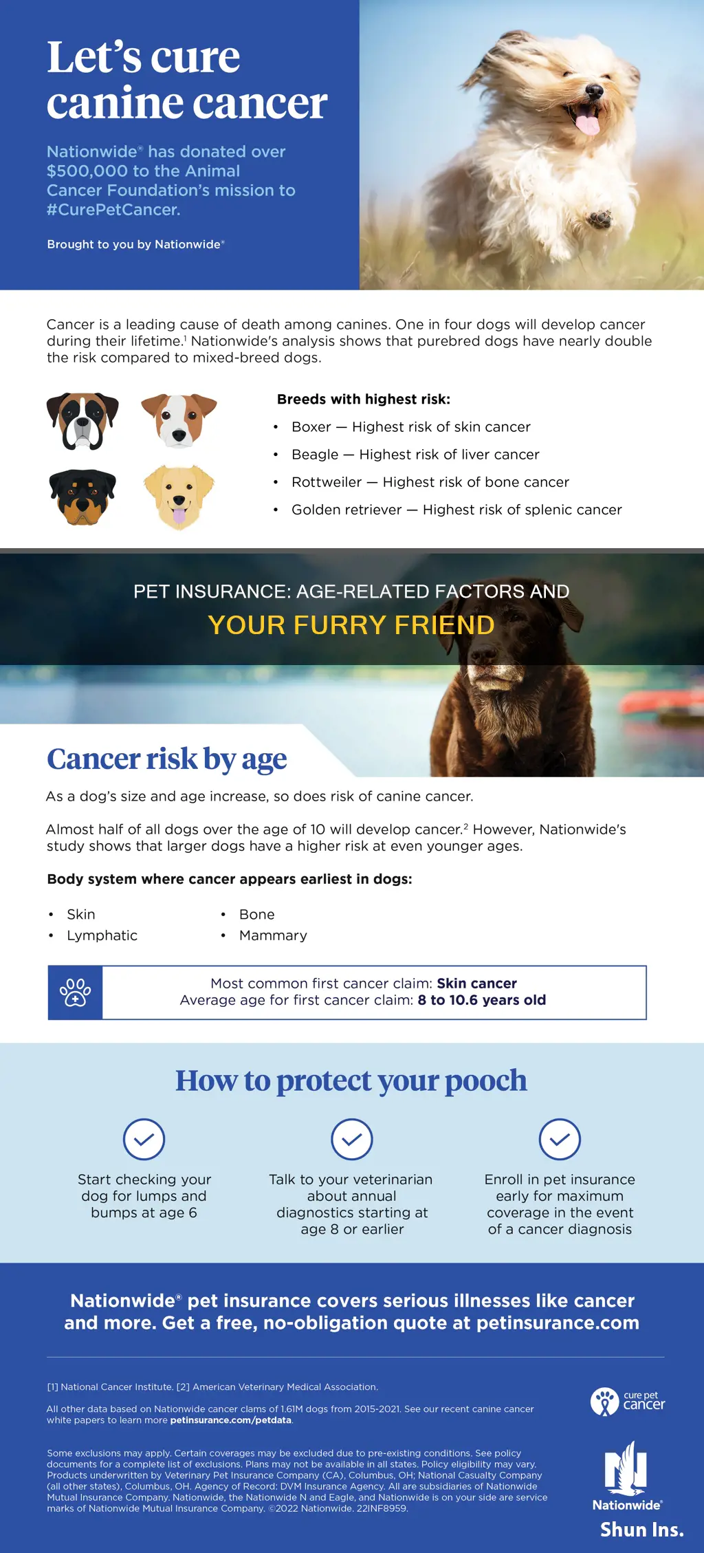 how does age affect pet insurance