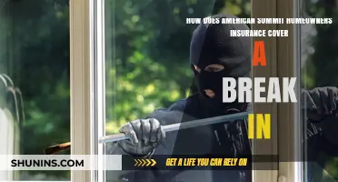 Summit Homeowners Insurance: What's Covered After a Break-In?
