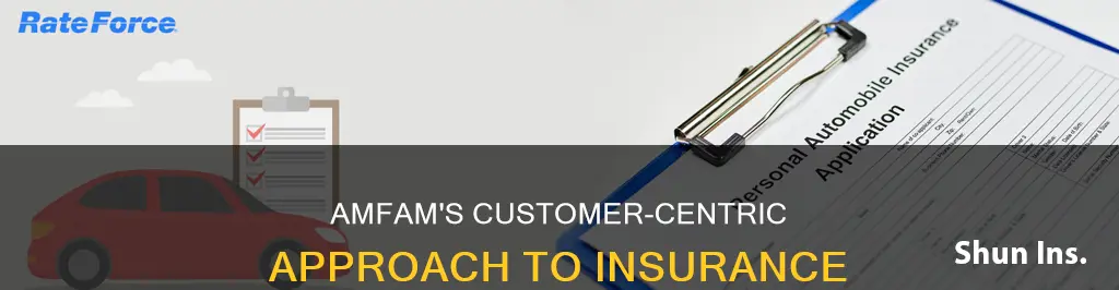 how does amfam go about insuring a new customer
