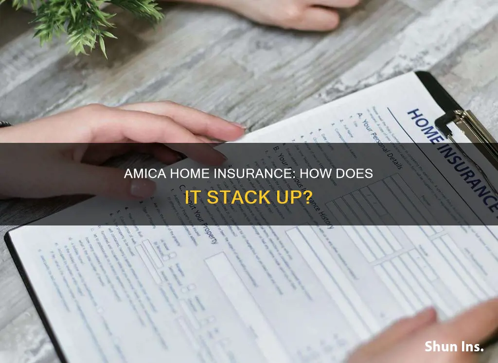 how does amica homeowners insurance compare to others