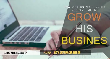 Strategies for Independent Insurance Agents to Grow Their Business